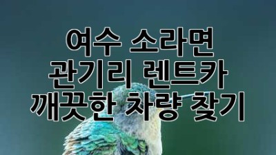 여수 소라면 관기리 렌트카, 깨끗한 차량 찾기!